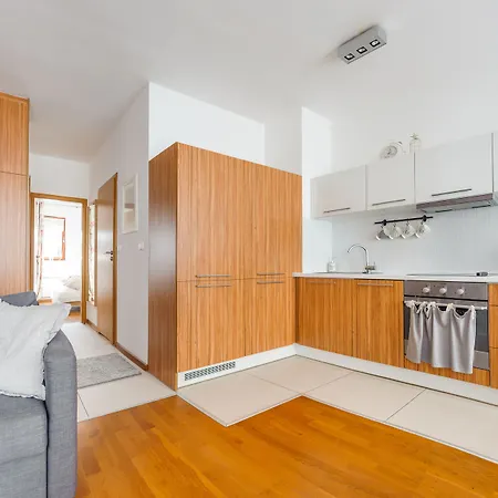 Platan, Sun & Snow *