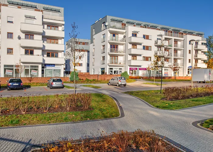 Platan, Sun & Snow *