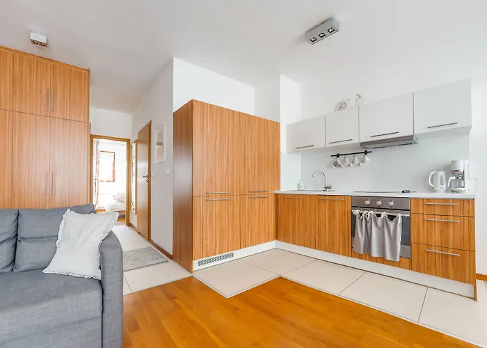 Platan, Sun & Snow *